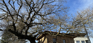 Yalova'daki son dönem Osmanlı mimarisi örneği mescidin restorasyonu tamamlanıyor