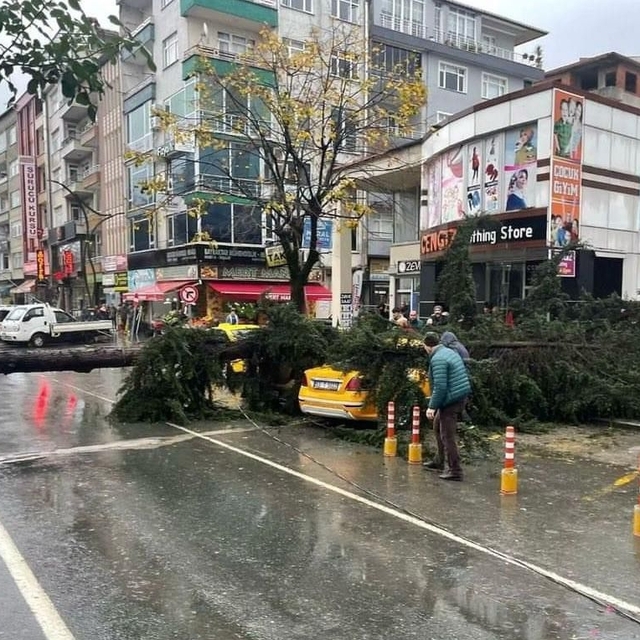 Rize'de şiddetli rüzgarın devirdiği ağaç 2 taksiye zarar verdi