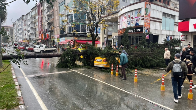 Rize'de fırtına; sac uçtu, ağaç taksinin üzerine devrildi