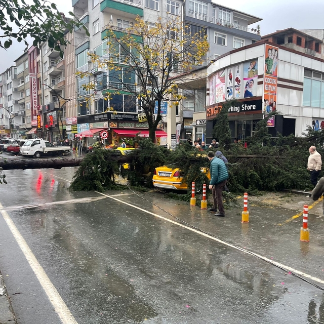Rize'de fırtına; sac uçtu, ağaç taksinin üzerine devrildi