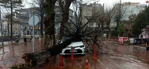 Bartın'da fırtına nedeniyle çatılar uçtu, otomobilin üzerine ağaç devrildi