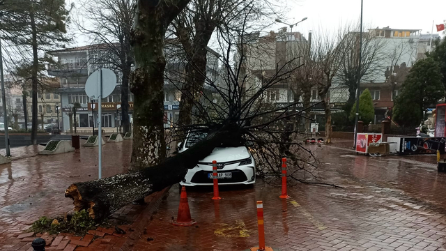 Bartın'da fırtına nedeniyle çatılar uçtu, otomobilin üzerine ağaç devrildi