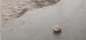 Şırnak'ta yağış nedeniyle yol çöktü