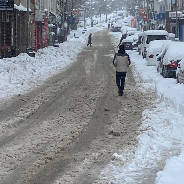 Bolu Dağı'nda kar yağışı (2)