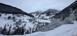 Artvin ve Gümüşhane'de kar etkili oluyor