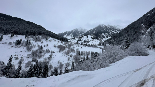 Artvin ve Gümüşhane'de kar etkili oluyor