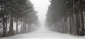 Tokat'ın ilçelerinde kar yağışı etkili oldu