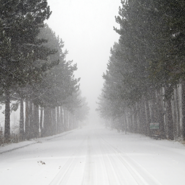 Tokat'ın ilçelerinde kar yağışı etkili oldu