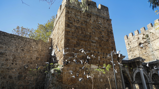 Tarihi Üçkapılar'a 'güvercin dışkısı' zararı