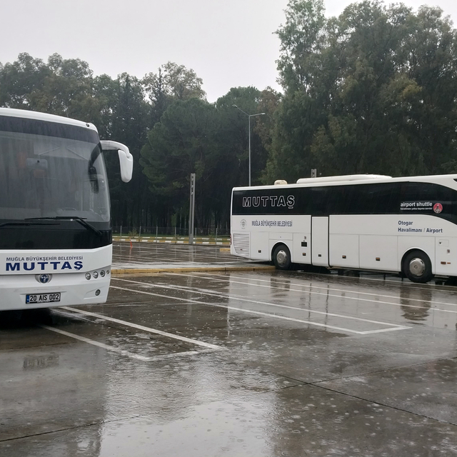 Muğla'da otobüs şoförünün seyir halinde mesajlaşması yolcu tarafından görün...