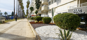 Antalya'da sokak ve caddelerde kurakçıl peyzaj projeleri uygulanıyor