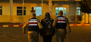 Şanlıurfa'da köpeği traktöre bağlayarak koşturan şüpheliye para cezası