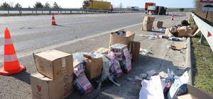 Edirne'de kamyonetlerin karıştığı kazada yola dökülen kedi ve köpek mamalar...