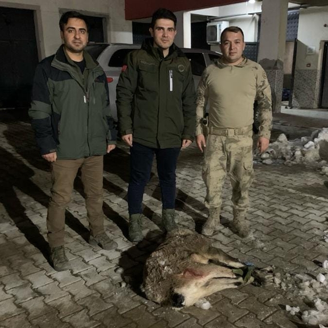 Van'da yaban keçisi avlayan 2 kişiye 314 bin 526 lira ceza