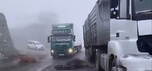 Diyarbakır'da TIR'ın çarptığı sürüdeki 7 inek öldü