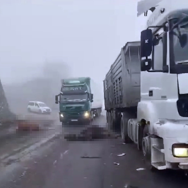 Diyarbakır'da TIR'ın çarptığı sürüdeki 7 inek öldü