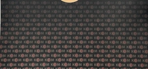 Iğdır'da ehliyet sınavında kopya çekmeye çalışanlara yönelik operasyonda 2 zanlı tutuklandı