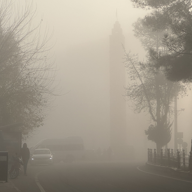 Siirt'te sis etkisini artırdı