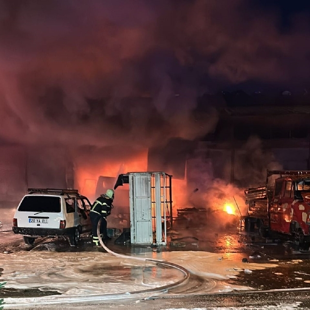 Espiye sanayi sitesindeki yangında 3 iş yeri zarar gördü