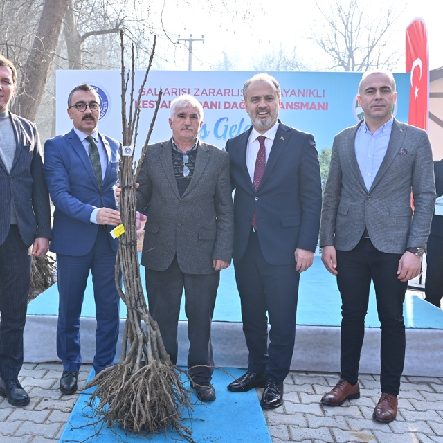 Bursa'da çiftçilere kestane fidanı dağıtıldı
