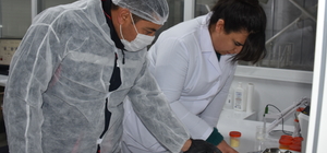 Kırık veya tarihi geçmiş yumurtalar akvaryum balıklarının yemine katkı maddesi oluyor 