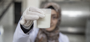 Erzurum'da süt toplama merkezi kırsaldaki kadınların geçim kaynağı oldu