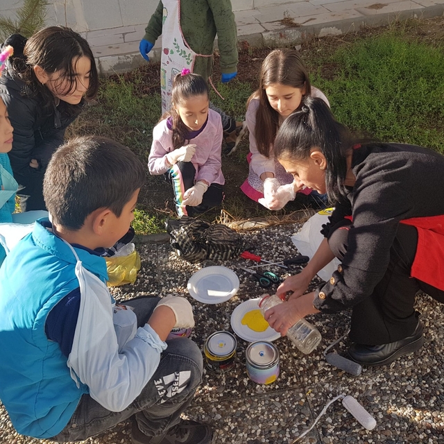 Çekerek'te ilkokul öğrencileri sahipsiz kediler için barınak yaptı