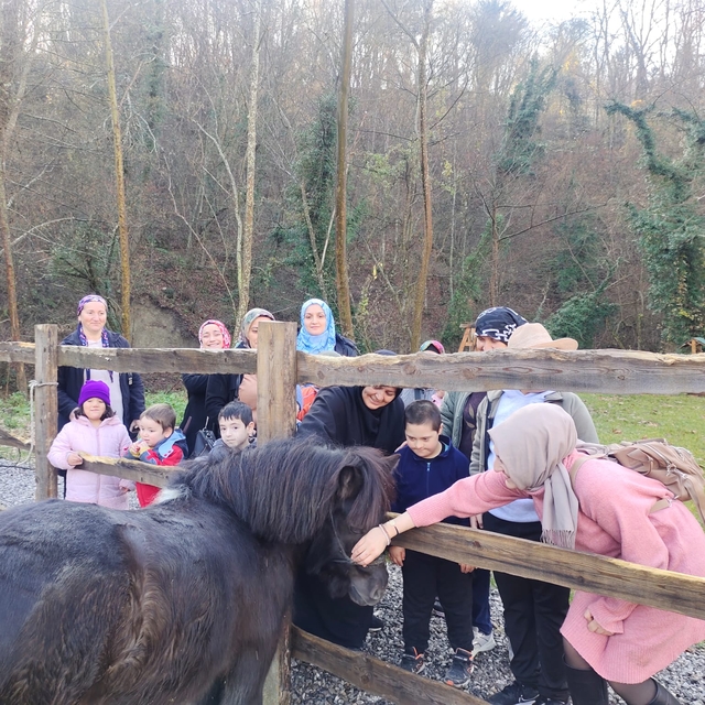 Zonguldak'ta engelli çocuklar atlı terapiye katıldı
