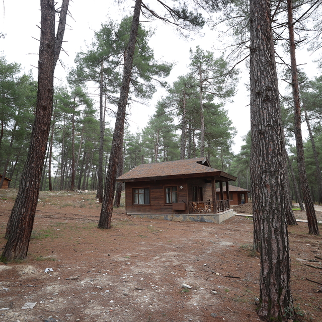 Bursa'nın dağ ilçesindeki doğal yaşam merkezi yeni yılı tam dolulukla karşı...