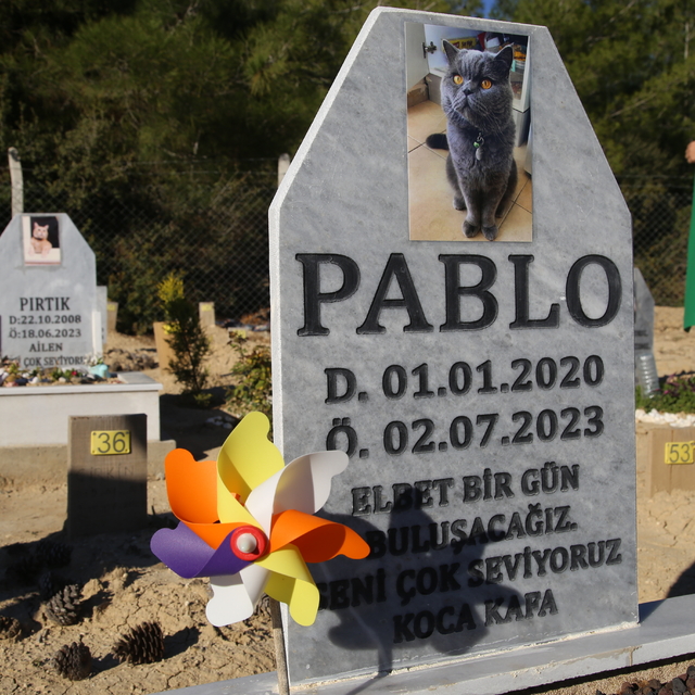 "Can dostlarını" yitirenler hayvan mezarlığında teselli buluyor