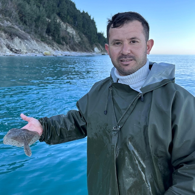 Kastamonulu balıkçı bir kilogramın altındaki kalkan balıklarını yeniden den...