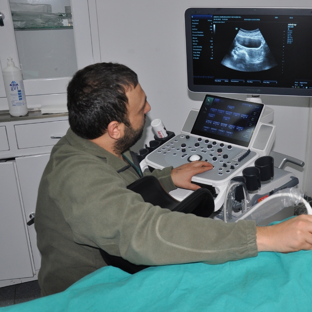 Gümüşhacıköy Devlet Hastanesinde renkli ultrason hizmetine başlandı