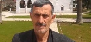 Kestiği ağacın üstüne devrilmesiyle öldü