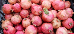 Siirt'te hasadı yapılan Zivzik narının satışına başlandı