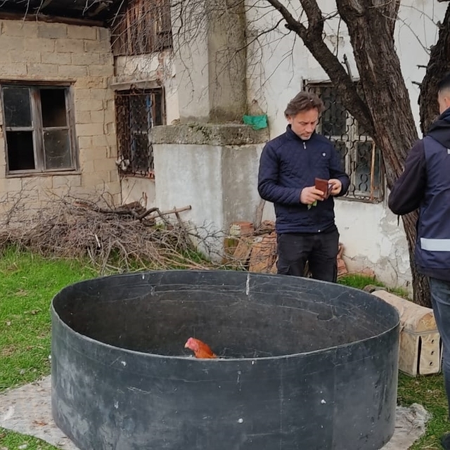 Kütahya'da horoz dövüştüren 8 kişi yakalandı