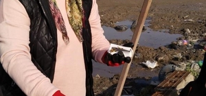 Manisa'da çöpe atılan altını belediye ekipleri buldu