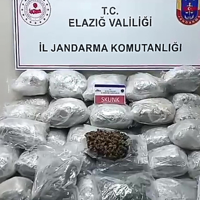 Elazığ'da tırın dorsesine gizlenmiş 138 kilogram skunk bulundu