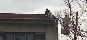 Ekipler seferber oldu; 4 katlı binanın çatısına çıkan köpek, sahibi gelince indi