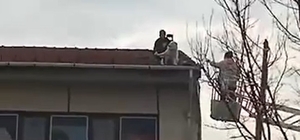 Ekipler seferber oldu; 4 katlı binanın çatısına çıkan köpek, sahibi gelince...