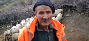 Ağıla girip koyunlara işkence yaptı; o anlar kamerada