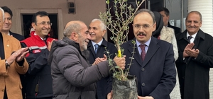 Siirt'te üreticilere 100 bin adet fıstık fidanı dağıtıldı