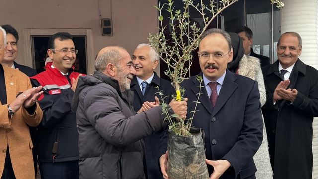 Siirt'te üreticilere 100 bin adet fıstık fidanı dağıtıldı