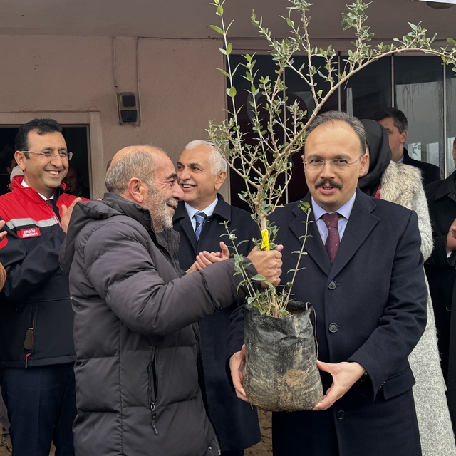 Siirt'te üreticilere 100 bin adet fıstık fidanı dağıtıldı