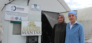 Samsun'da istiridye mantarı üreten girişimci kadınlar günde 200 kilo ürün a...