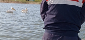 Edirne'den kısa kısa