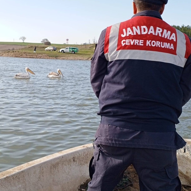 Edirne'den kısa kısa
