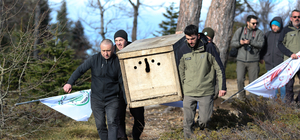 Bursa'da tedavisi tamamlanan kızıl akbaba doğaya salındı