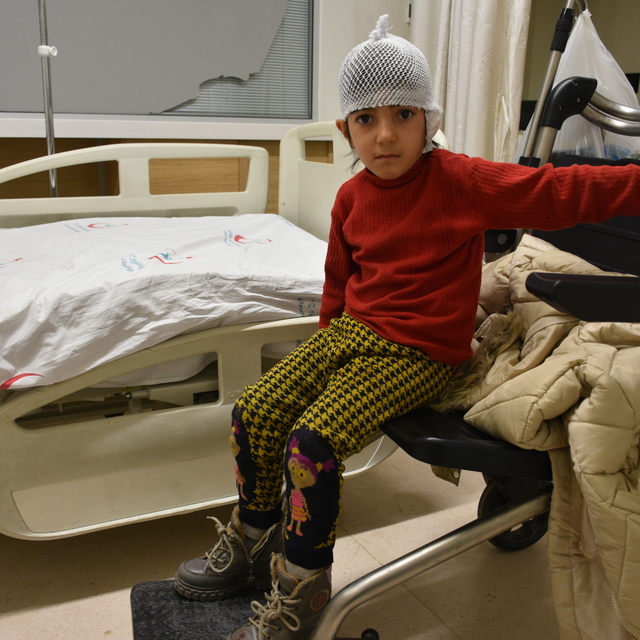 Erzurum'da okul dönüşü sahipsiz köpeklerin saldırısına uğrayan kız çocuğu y...