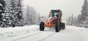 Trabzon'un yüksek kesimlerinde kar etkili oldu