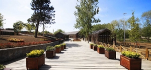 Acarlar Longozu geçen yıl 140 binden fazla ziyaretçiyi ağırladı